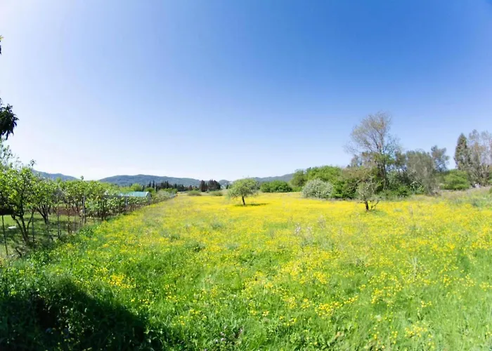 Corfu Dream Holidays * Kouramaditika