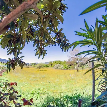 Corfu Dream Holidays *