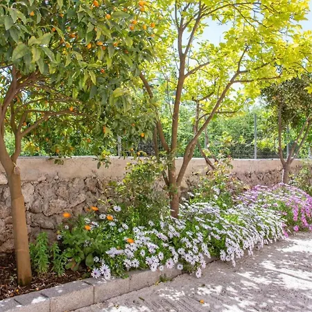 Corfu Dream Holidays 公寓 *