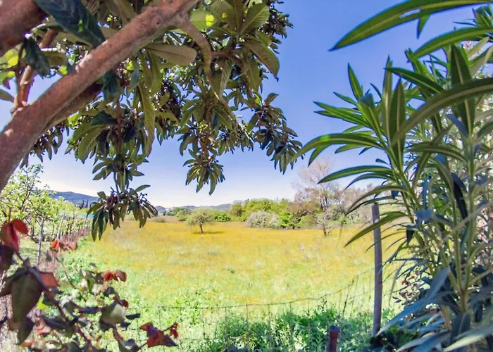 Corfu Dream Holidays *