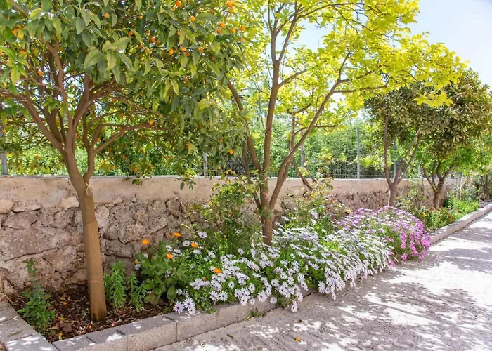 Corfu Dream Holidays 公寓 *